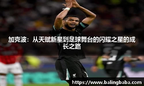 贝博BB(中国)股份有限公司_官网